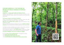 CATALOGUE NUTS -6