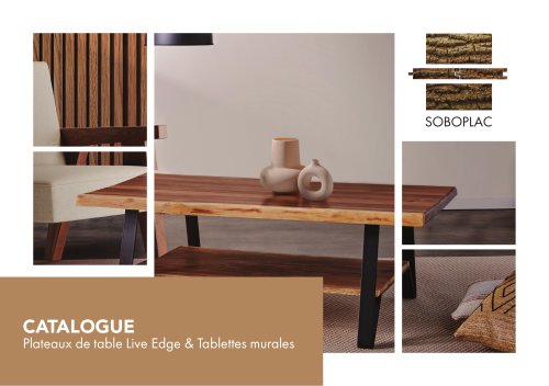CATALOGUE SLABS 