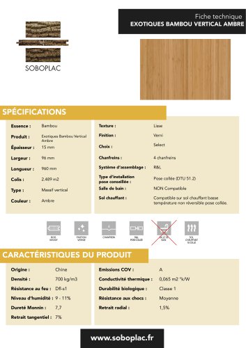 EXOTIQUES BAMBOU VERTICAL AMBRE