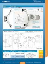 Portes Pivotantes - 7