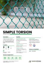 SIMPLE TORSION - 1