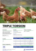 TRIPLE TORSION