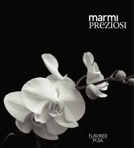 MARMI PREZIOSI