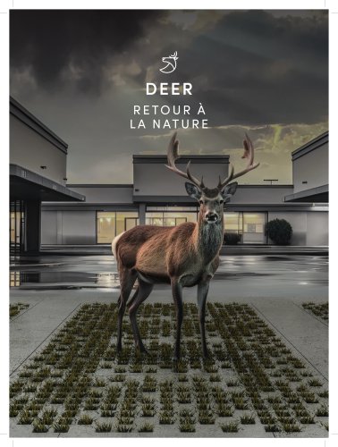 Deer Brochure