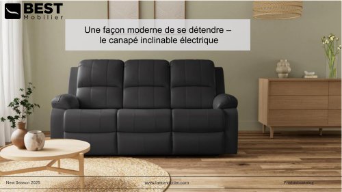 Canap&eacute;s &eacute;lectriques - une fa&ccedil;on moderne de se d&eacute;tendre