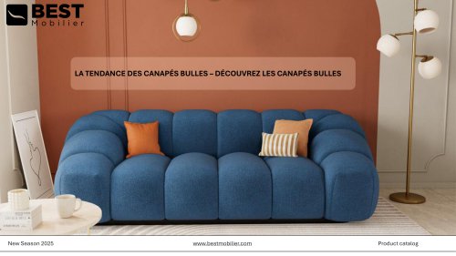 la-tendance-des-canapes-bulle