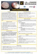 Fiche Produits Plots Podotactiles - 1