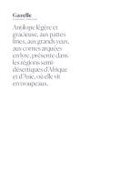 TABLES PIVOINE-2