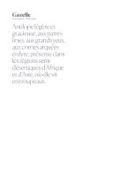Têtes bien faites -2