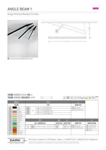 ANGLE BEAM