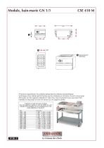 MODULE - ELECTRIC - 2