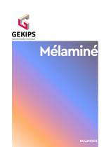 GEKIPS Nuancier Mélaminé 2020 - 1