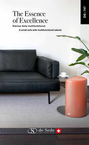 A small sofa with multifunctional talents