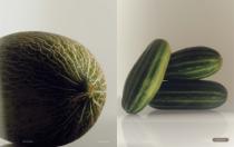 Catalogue RODA | MISSONI 2025-22