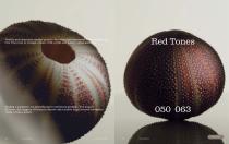 Catalogue RODA | MISSONI 2025-27