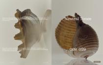 Catalogue RODA | MISSONI 2025-6