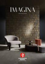 IMAGINA
