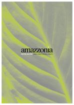 Pietre Native - Amazzonia - 2