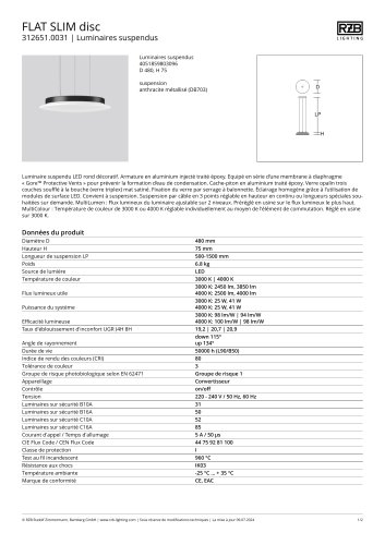 FLAT SLIM disc en suspension