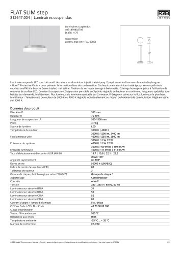 FLAT SLIM step para