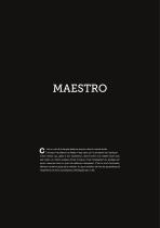 MAESTRO Professional Lighting - 3