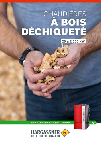 Chaudière mixte à bois 20-2500 kW