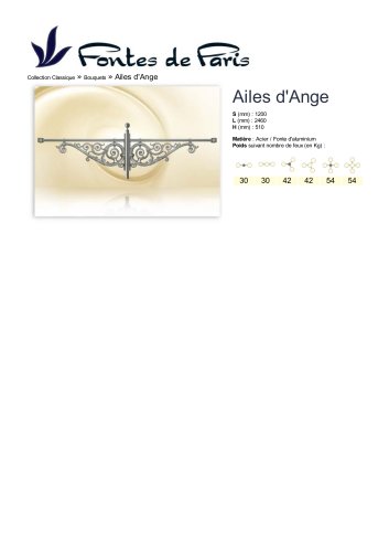 Ailes d'Ange