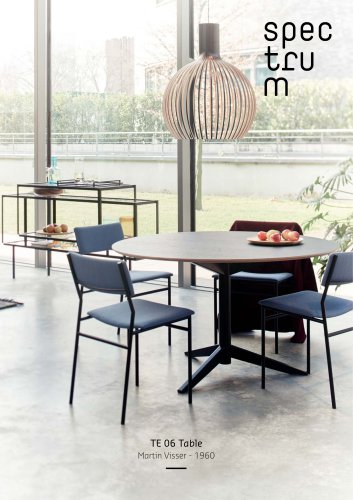 TE 06 table - Martin Visse