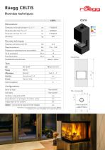 Flyer CELTIS - 2