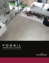 fossil - 1