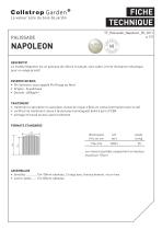 NAPOLEON - 1