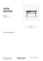 DESK BRIORD