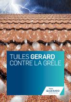 TUILES GERARD CONTRE LA GRÊLE - 1