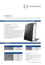 Hybrid - 1