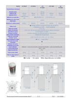 Bornes Escamotables Automatiques Série P-2