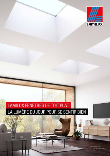 LAMILUX FENÊTRES DE TOIT PLAT