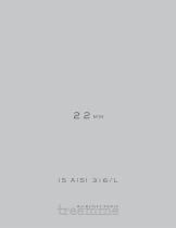 22mm