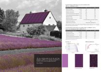 Gamme BISOL Spectrum - 4