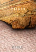 Catalogue Strata-1