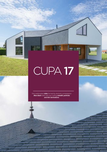 CUPA17