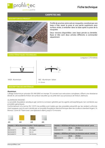 Carpetec MG