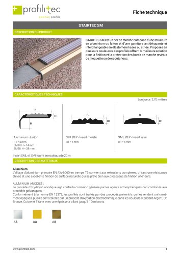 Stairtec SM