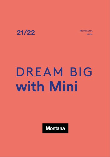 DREAM BIG with Mini