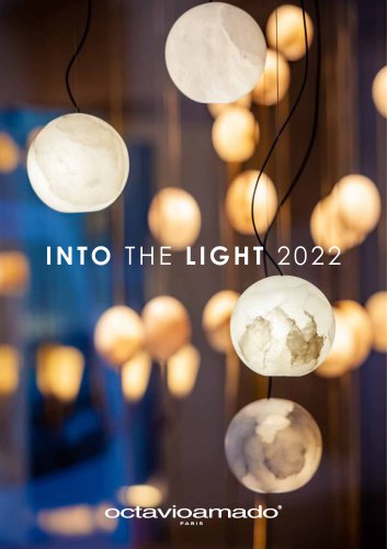 Into the light 2022