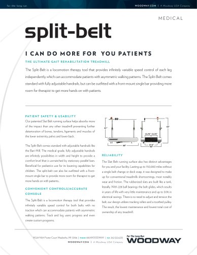 Split-Belt_2012