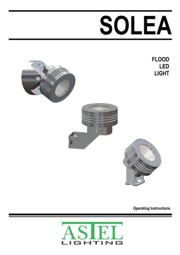 Flood LED Light SOLEA