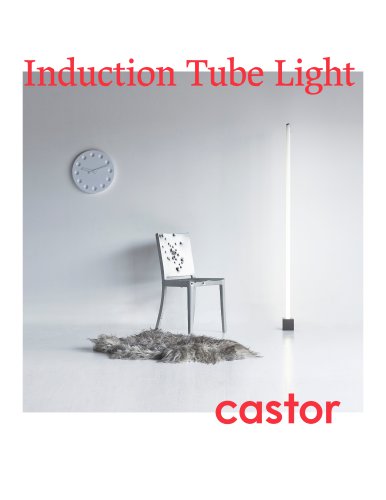 Induction Tube Light